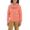 'Carhartt' Women's Relaxed Fit Midweight Graphic Hoodie - Hibiscus 2 'Carhartt' Women's Relaxed Fit Midweight Graphic Hoodie - Hibiscus -Carhartt Store 105639 P19 WS22 b 1 1024x1024@2x