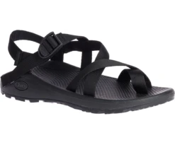 'Chaco' Men's ZCloud 2 Sandal - Black