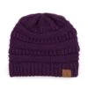 'C.CĀ®' Solid Knit Beanie - Dark Purple 2 'C.CĀ®' Solid Knit Beanie - Dark Purple -Carhartt Store HAT 20A DK.PURPLE 1024x1024@2x