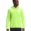 'The North Face' Men's Box NSE Pullover Hoodie - Sharp Green -Carhartt Store NF0A4761 HDD back 1024x1024@2x
