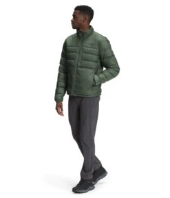 'The North Face' Men's Anconcagua 2 Jacket - Thyme -Carhartt Store NF0A4R29 NYC model34 1024x1024@2x
